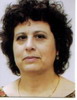 שלומית מלצר, סקימולטור